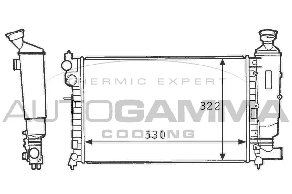 Radiator, engine cooling (100734)