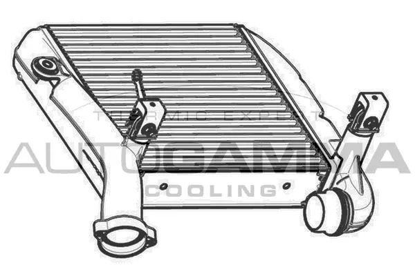 Charge Air Cooler (107558)