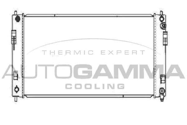 Radiator, engine cooling (107231)