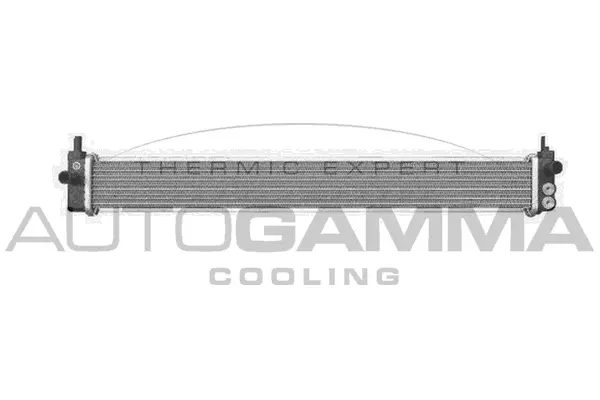 Radiator, engine cooling (105923)