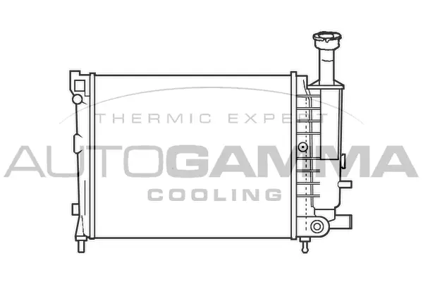 Radiator, engine cooling (100148)