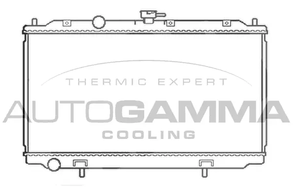 Radiator, engine cooling (103499)