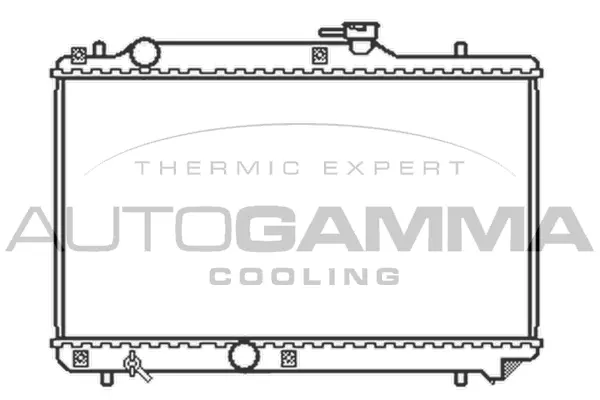 Radiator, engine cooling (102322)