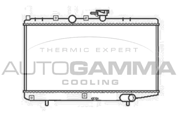 Radiator, engine cooling (103817)