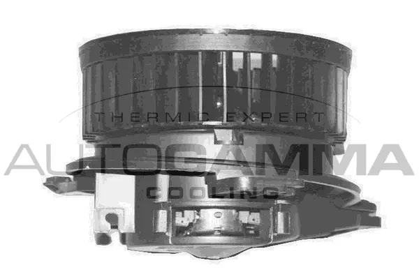 Interior Blower (GA20324)