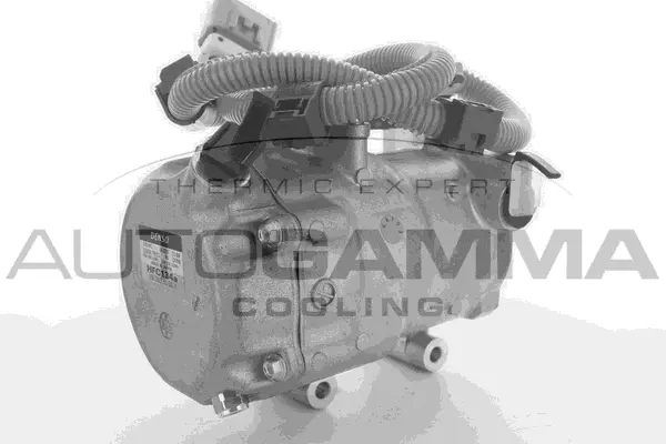 Compressor, air conditioning (118419)