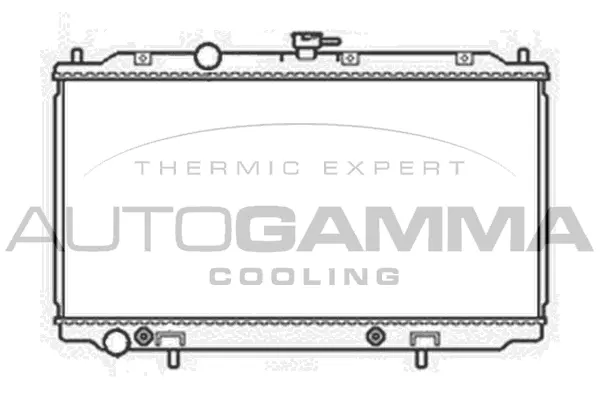 Radiator, engine cooling (103841)