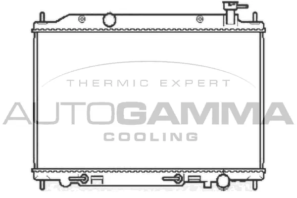 Radiator, engine cooling (104860)