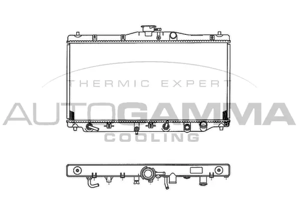 Radiator, engine cooling (100404)