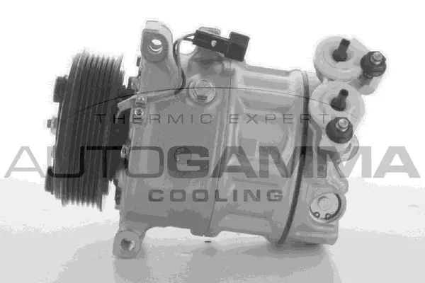 Compressor, air conditioning (118592)