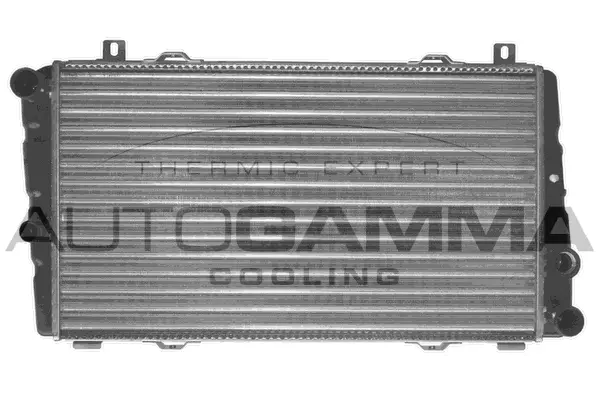 Radiator, engine cooling (102306)