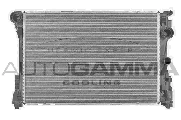 Radiator, engine cooling (107957)