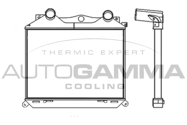 Charge Air Cooler (404610)