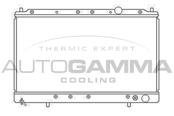 Radiator, engine cooling (103162)