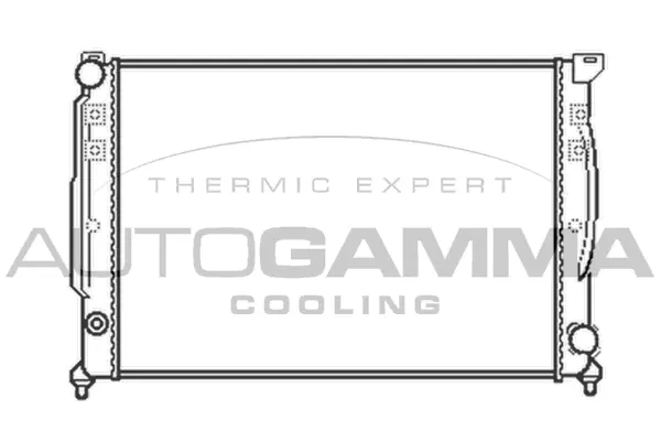 Radiator, engine cooling (102054)