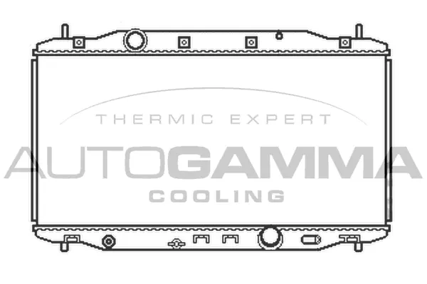 Radiator, engine cooling (105099)