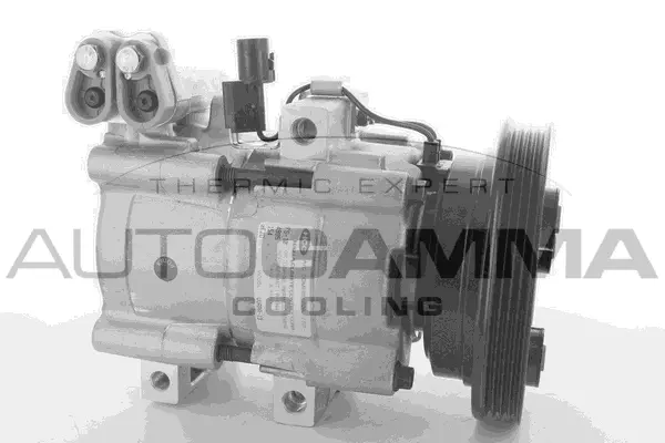Compressor, air conditioning (118496)