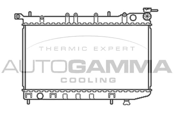 Radiator, engine cooling (100649)