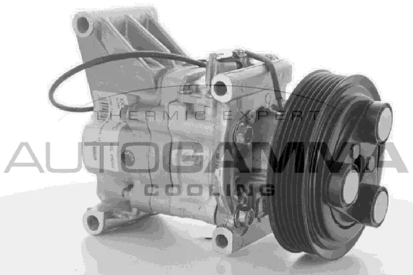 Compressor, air conditioning (118357)