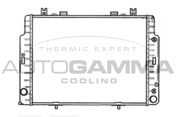 Radiator, engine cooling (102163)