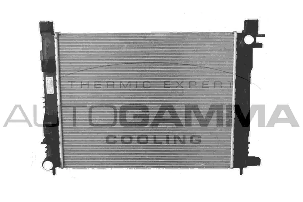Radiator, engine cooling (107146)