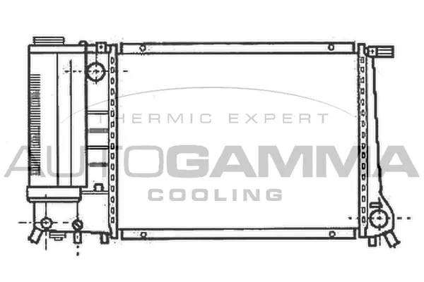 Radiator, engine cooling (101121)
