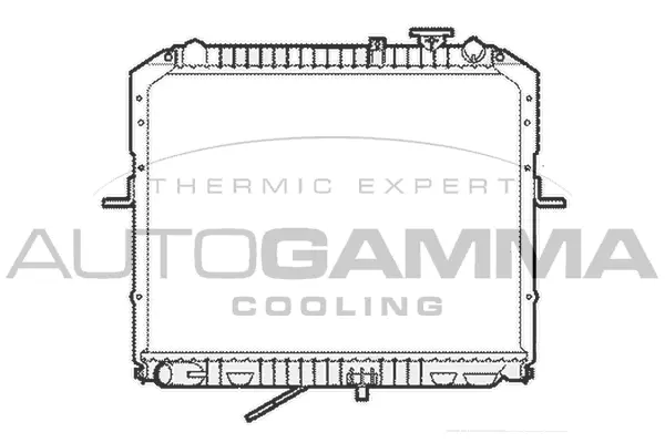 Radiator, engine cooling (104120)