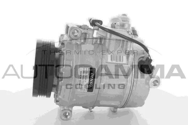 Compressor, air conditioning (118391)