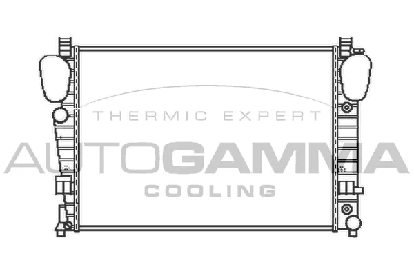 Radiator, engine cooling (103462)