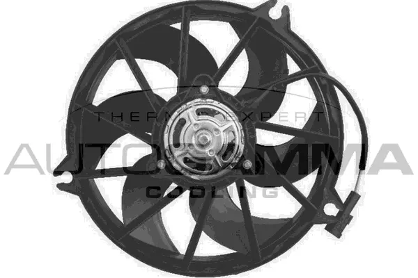 Fan, engine cooling (GA200529)