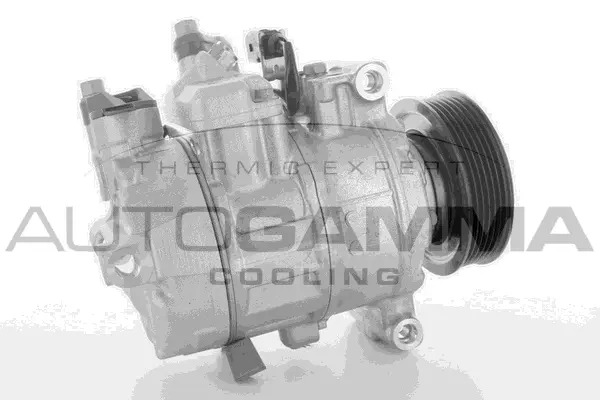 Compressor, air conditioning (118541)