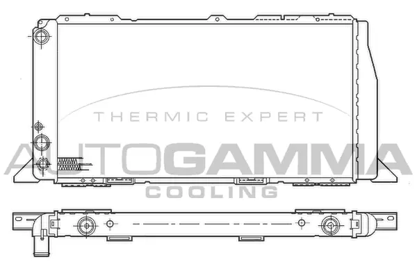 Radiator, engine cooling (100045)