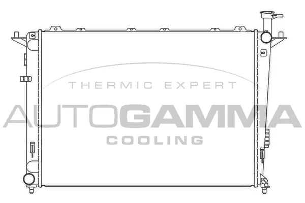 Radiator, engine cooling (105807)