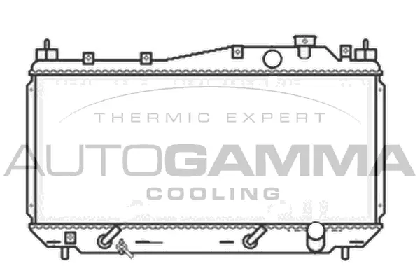 Radiator, engine cooling (103435)