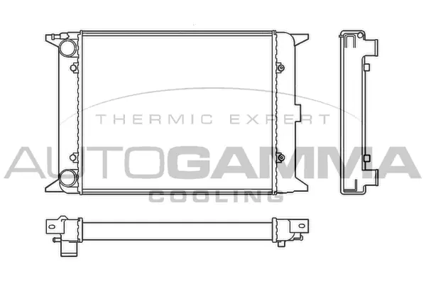 Radiator, engine cooling (100036)