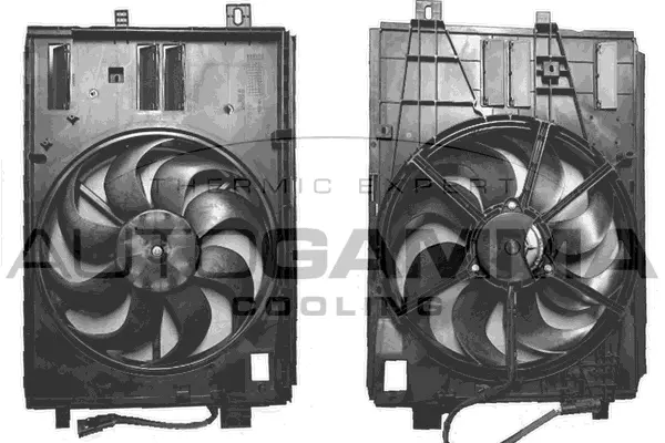 Fan, engine cooling