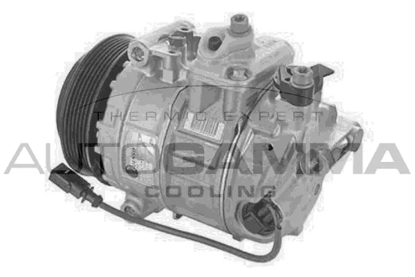 Compressor, air conditioning (118724)