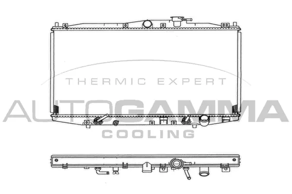 Radiator, engine cooling (102096)