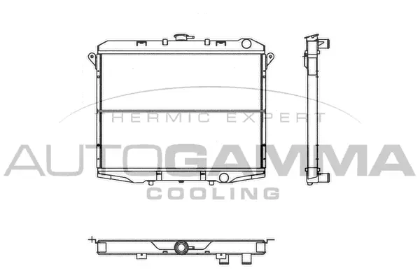 Radiator, engine cooling (103154)