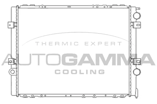 Radiator, engine cooling (403622)