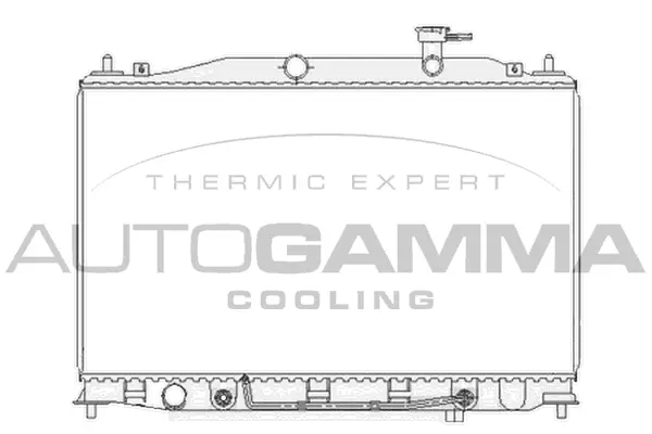 Radiator, engine cooling (104827)