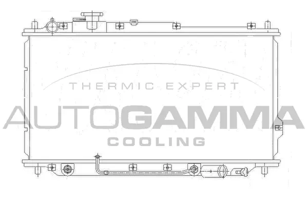 Radiator, engine cooling (104653)