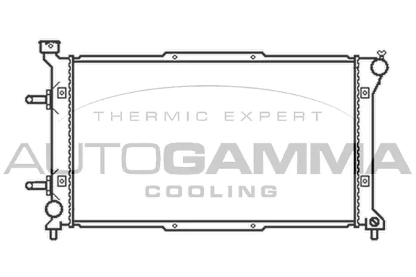 Radiator, engine cooling (102316)