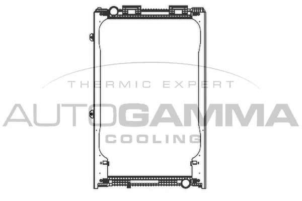 Radiator, engine cooling (404438)