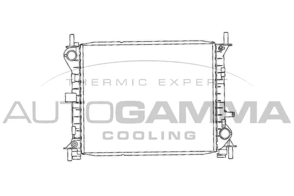 Radiator, engine cooling (102074)