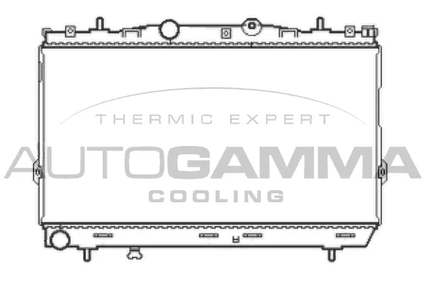 Radiator, engine cooling (105042)