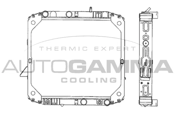 Radiator, engine cooling (400496)