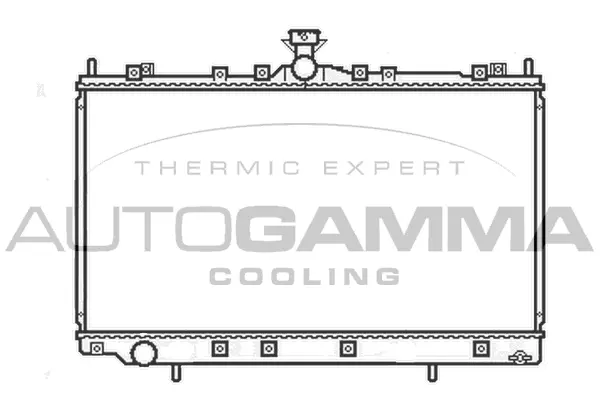 Radiator, engine cooling (105659)