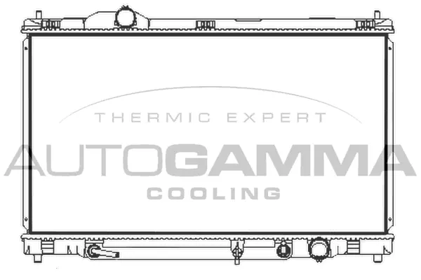 Radiator, engine cooling (107968)