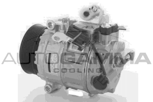 Compressor, air conditioning (118621)